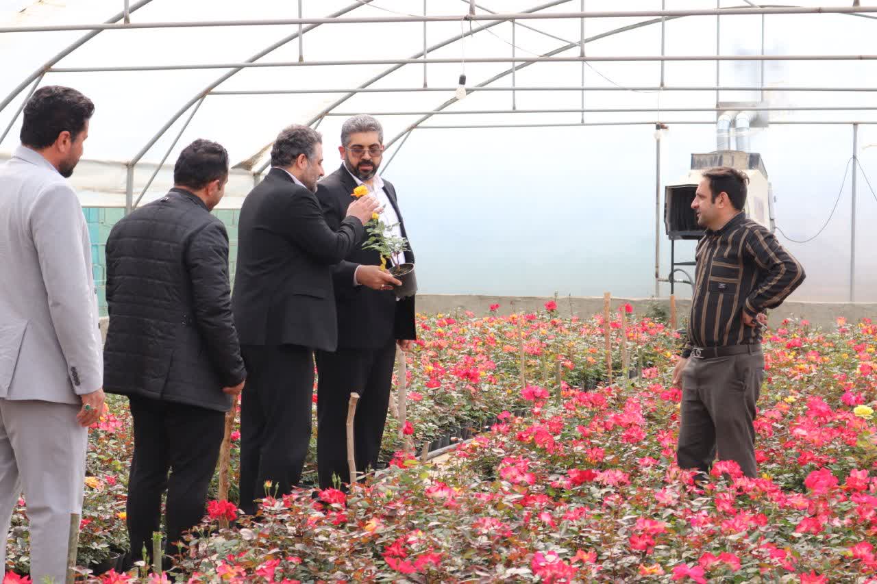 نمایشگاه